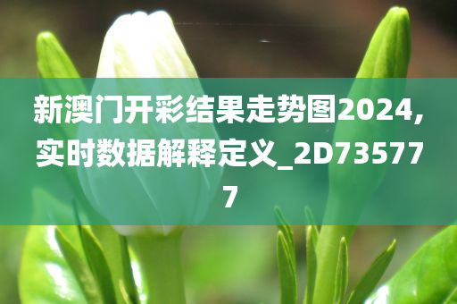 新澳门开彩结果走势图2024,实时数据解释定义_2D735777