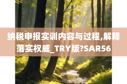 纳税申报实训内容与过程,解释落实权威_TRY版?SAR56