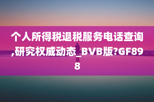 个人所得税退税服务电话查询,研究权威动态_BVB版?GF898