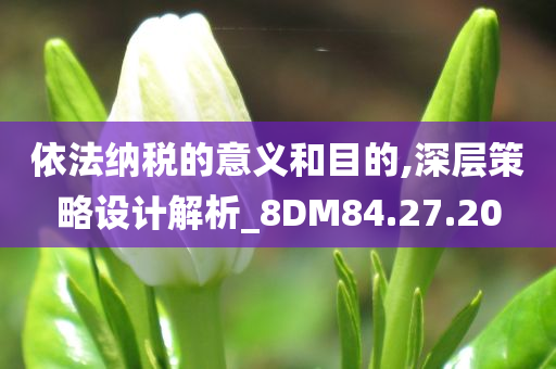 依法纳税的意义和目的,深层策略设计解析_8DM84.27.20