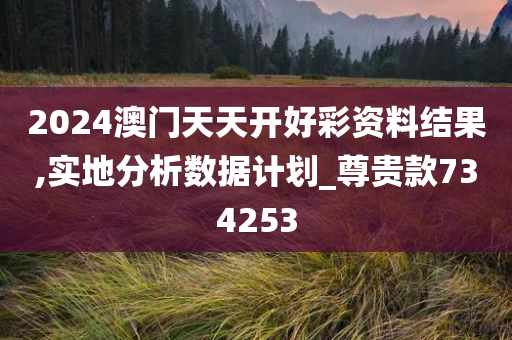 2024澳门天天开好彩资料结果,实地分析数据计划_尊贵款734253