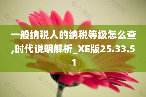 一般纳税人的纳税等级怎么查,时代说明解析_XE版25.33.51