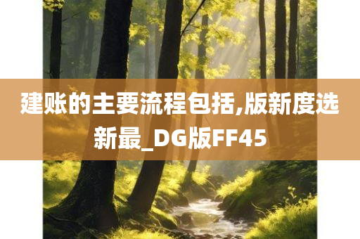 建账的主要流程包括,版新度选新最_DG版FF45