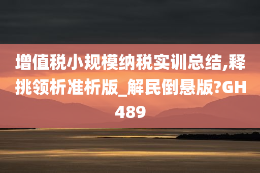 增值税小规模纳税实训总结,释挑领析准析版_解民倒悬版?GH489