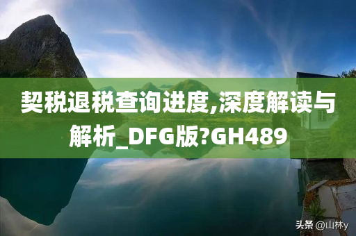 契税退税查询进度,深度解读与解析_DFG版?GH489