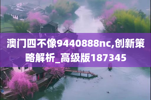 澳门四不像9440888nc,创新策略解析_高级版187345