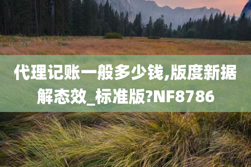 代理记账一般多少钱,版度新据解态效_标准版?NF8786