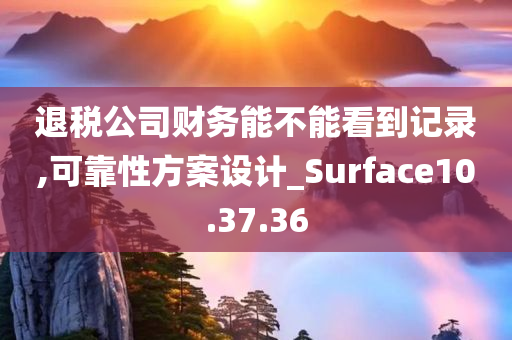 退税公司财务能不能看到记录,可靠性方案设计_Surface10.37.36