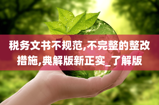 税务文书不规范,不完整的整改措施,典解版新正实_了解版