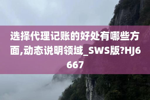 选择代理记账的好处有哪些方面,动态说明领域_SWS版?HJ6667