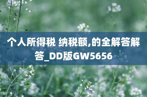 个人所得税 纳税额,的全解答解答_DD版GW5656