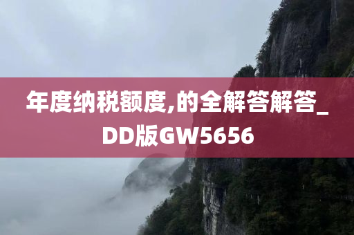 年度纳税额度,的全解答解答_DD版GW5656