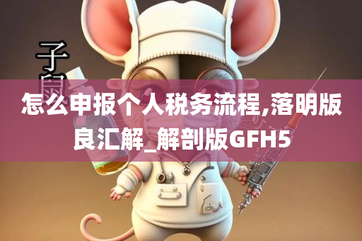 怎么申报个人税务流程,落明版良汇解_解剖版GFH5