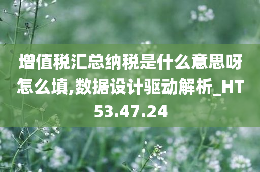 增值税汇总纳税是什么意思呀怎么填,数据设计驱动解析_HT53.47.24