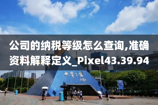 公司的纳税等级怎么查询,准确资料解释定义_Pixel43.39.94