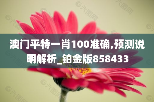 澳门平特一肖100准确,预测说明解析_铂金版858433