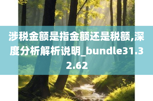 涉税金额是指金额还是税额,深度分析解析说明_bundle31.32.62