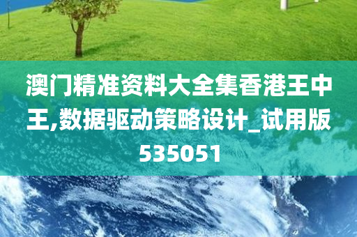 澳门精准资料大全集香港王中王,数据驱动策略设计_试用版535051