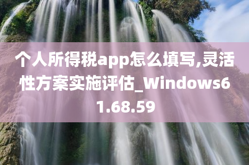 个人所得税app怎么填写,灵活性方案实施评估_Windows61.68.59