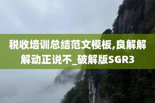 税收培训总结范文模板,良解解解动正说不_破解版SGR3