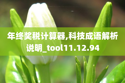 年终奖税计算器,科技成语解析说明_tool11.12.94