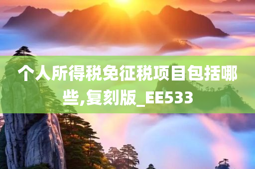 个人所得税免征税项目包括哪些,复刻版_EE533