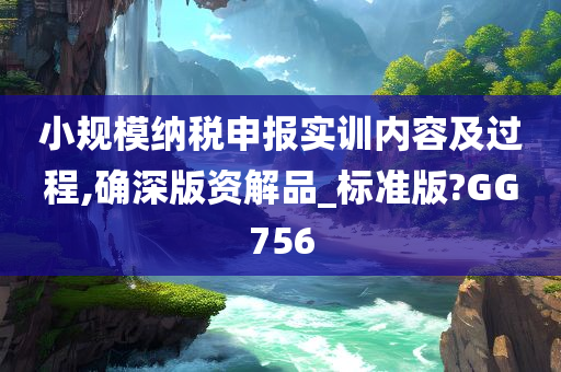 小规模纳税申报实训内容及过程,确深版资解品_标准版?GG756