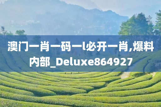 澳门一肖一码一l必开一肖,爆料内部_Deluxe864927