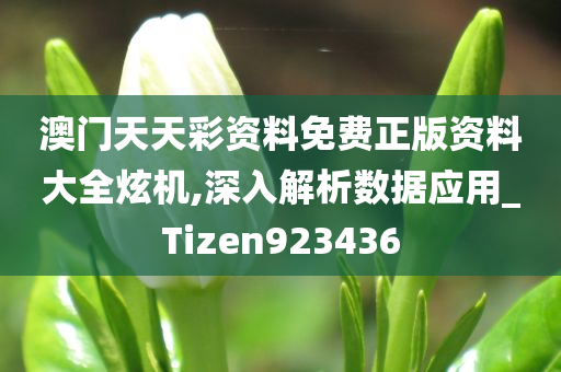 澳门天天彩资料免费正版资料大全炫机,深入解析数据应用_Tizen923436