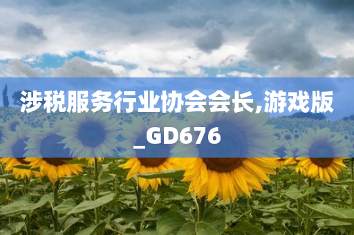 涉税服务行业协会会长,游戏版_GD676