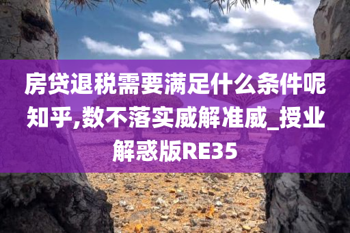 房贷退税需要满足什么条件呢知乎,数不落实威解准威_授业解惑版RE35