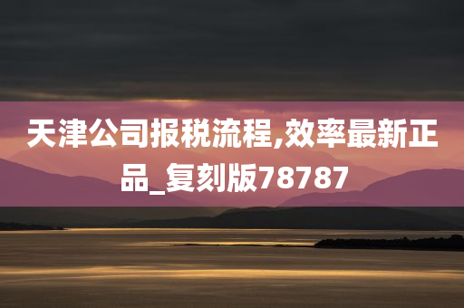 天津公司报税流程,效率最新正品_复刻版78787