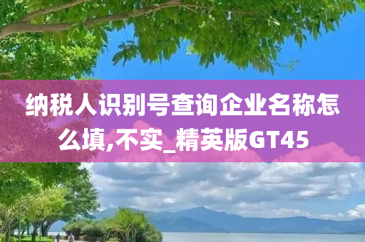 纳税人识别号查询企业名称怎么填,不实_精英版GT45