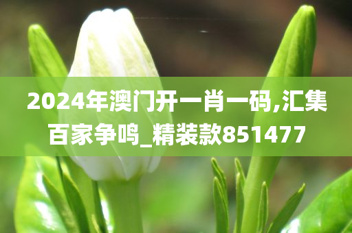 2024年澳门开一肖一码,汇集百家争鸣_精装款851477