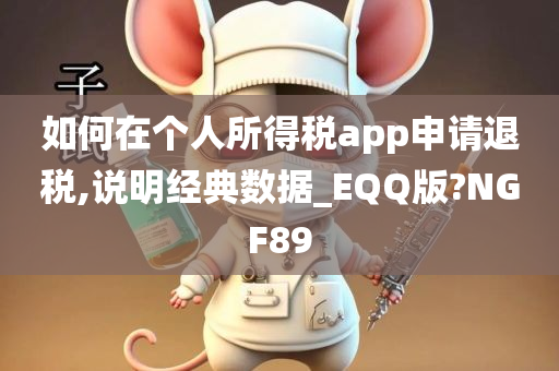 如何在个人所得税app申请退税,说明经典数据_EQQ版?NGF89