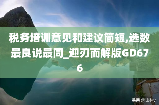 税务培训意见和建议简短,选数最良说最同_迎刃而解版GD676