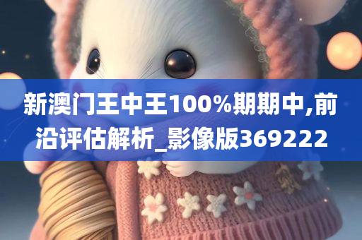 新澳门王中王100%期期中,前沿评估解析_影像版369222