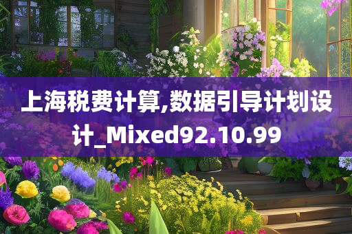 上海税费计算,数据引导计划设计_Mixed92.10.99