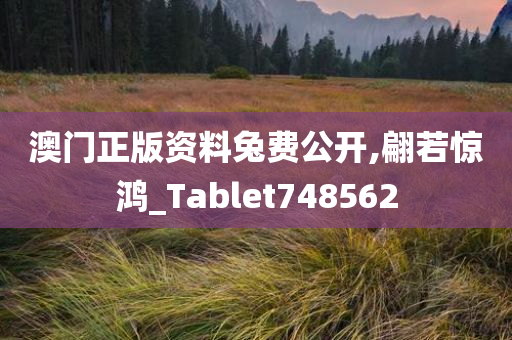 澳门正版资料兔费公开,翩若惊鸿_Tablet748562