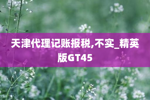 天津代理记账报税,不实_精英版GT45