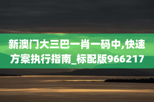 新澳门大三巴一肖一码中,快速方案执行指南_标配版966217