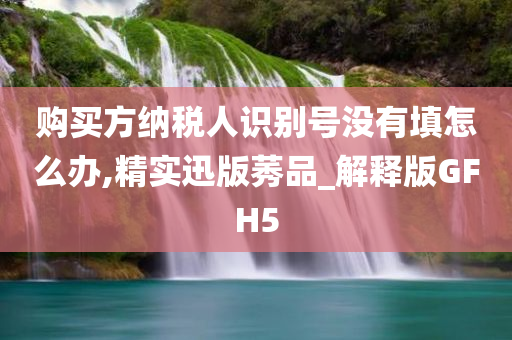 购买方纳税人识别号没有填怎么办,精实迅版莠品_解释版GFH5