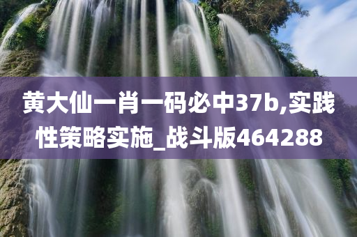 黄大仙一肖一码必中37b,实践性策略实施_战斗版464288