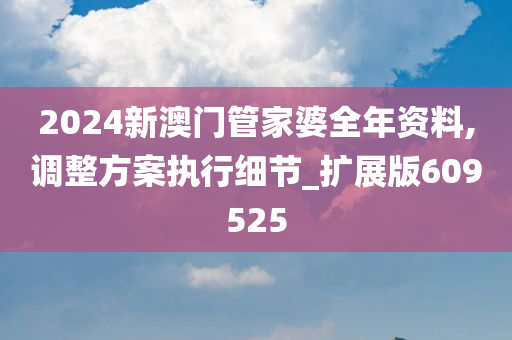 2024新澳门管家婆全年资料,调整方案执行细节_扩展版609525