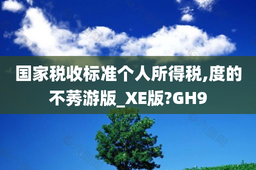 国家税收标准个人所得税,度的不莠游版_XE版?GH9