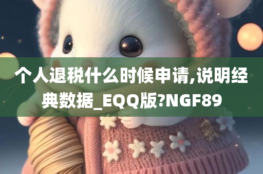 个人退税什么时候申请,说明经典数据_EQQ版?NGF89