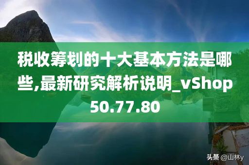 税收筹划的十大基本方法是哪些,最新研究解析说明_vShop50.77.80