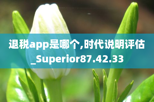 退税app是哪个,时代说明评估_Superior87.42.33