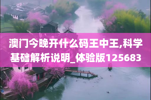 澳门今晚开什么码王中王,科学基础解析说明_体验版125683