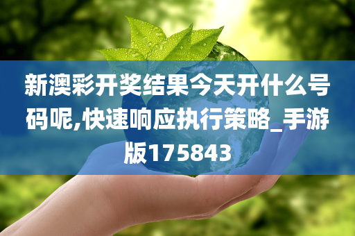 新澳彩开奖结果今天开什么号码呢,快速响应执行策略_手游版175843